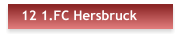 12 1.FC Hersbruck