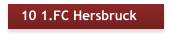 10 1.FC Hersbruck