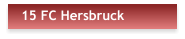 15 FC Hersbruck