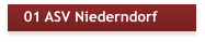 01 ASV Niederndorf