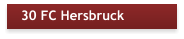 30 FC Hersbruck