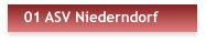 01 ASV Niederndorf